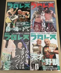 Item thumbnail for item 4d69dbc3-8178-4be2-af6e-f08e04b68d9d