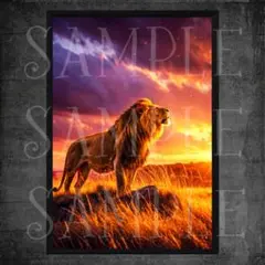 【L11】ライオン Lion A4 ポスター / アートポスター