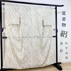 ZY-636 夏着物 絽 カスミソウ 金彩 総柄 広衿 高級 上質