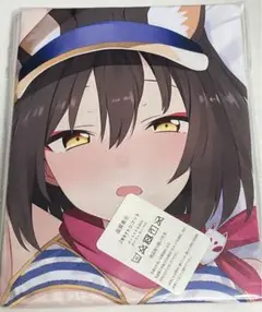 ブルーアーカイブ 久田イズナ 水着 抱き枕カバー ブルアカ