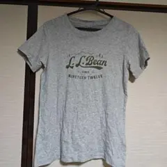 エルエルビーン L.L.Bean 半袖Tシャツ プリントロゴ グレー Sサイズ