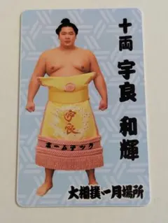 宇良 関　大相撲　カード　木瀬部屋