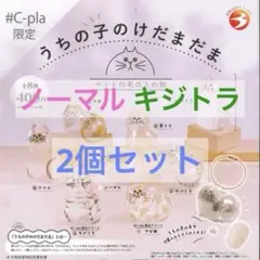 正規品　うちの子のけだまだま　ノーマル　キジトラ