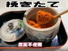 【 挽きたてを発送♡ 】一味唐辛子 農薬不使用