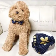 Item thumbnail for item 00e7d7dd-c2de-4784-9614-4c2d6a129e2e