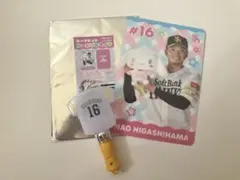 東浜巨 16 シークレットハードブロマイド ミニペンライト