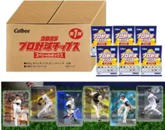プロ野球チップス　カード160枚　2025 スペシャルボックス 第1弾　限定品