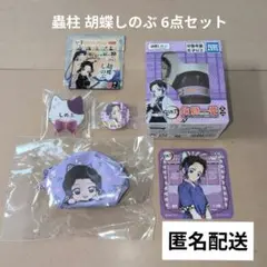 鬼滅の刃 蟲柱 胡蝶しのぶグッズ6点セット(缶バッジ・ミニポーチなど)