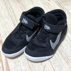 Nike ナイキジュニア バスケットシューズ チームハッスル 20cm