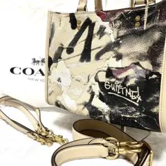 【極美品】 COACH ショルダーバッグ 3way ローグ ミント