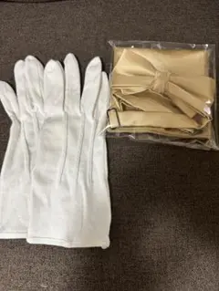 Item thumbnail for item fd388b6a-b3c3-4d3d-800c-bb5c539d2eb8