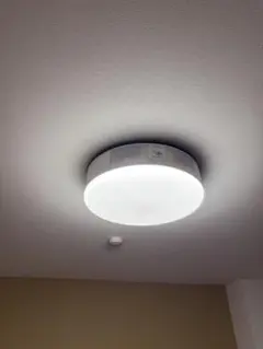 Item thumbnail for item 30ffdec5-f758-4786-80a1-81e646a49249