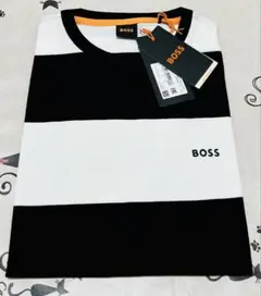Item thumbnail for item 1e73e207-4ae8-4754-a35f-ab0656366e5d