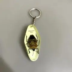ヒューマンフェイスビートル キーホルダー