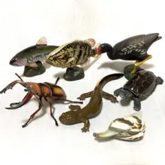 動物フィギュア 7体セット