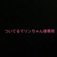ついてるマリンちゃん様専用 シャネルノベルティトートバッグ