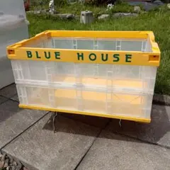 BLUE HOUSE 折り畳みコンテナ　レア品