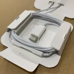 Apple純正品 EarPods イヤホン （USB-C）新品