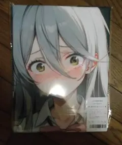 志喜屋夢子 シークレット 抱き枕カバー 98×48cm