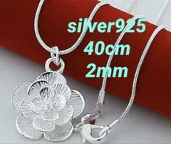 Item thumbnail for item 9f233802-e577-4b8d-9d03-3ae7b6fa9b3e