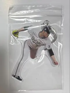 コロチャレ　富山 凌雅