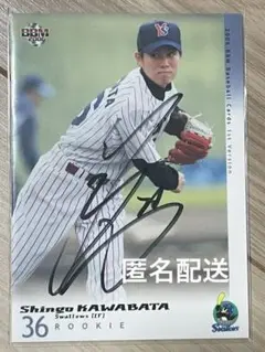 直筆サイン色紙　川端慎吾　東京ヤクルトスワローズ 5 Amazon.co.jp: 川端慎吾 東京ヤクルトスワローズ タオル 背番号5