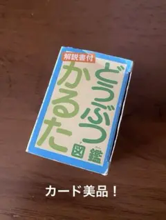 どうぶつかるた