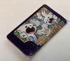 ポケモン　フレンダ　イッカネズミ　スーパートレジャー