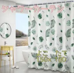 Item thumbnail for item fda77566-fc30-4c5e-80b1-9d997cd1f402