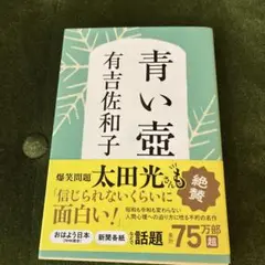有吉佐和子　青い壺