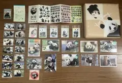 シャンシャン　シャオシャオ　レイレイ　グッズ　セット