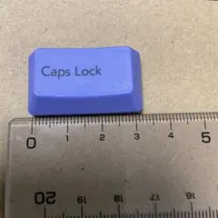 Realforce R3 日本語配列 Capslock パープル