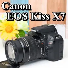 Item thumbnail for item bdc54bfd-1357-4b7e-ac08-e424b9264640