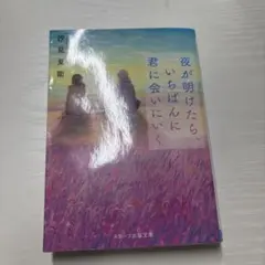 汐見夏衛 夜が明けたら、いちばんに君に会いにいく