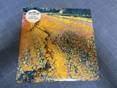 The Avalanches/Since I Left Youレコード12''