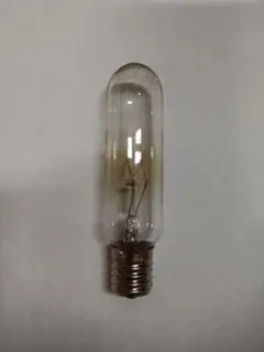 ＴＯＫＩ　スペース球　Ｔ形　Ｔ２２　Ｅ１７口金　クリヤー　３０Ｗ