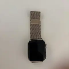 アップル純正 バンド