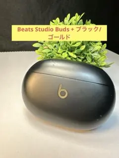 Item thumbnail for item 99d5eb84-d382-4359-9367-4e93f12876e9