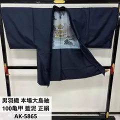 Item thumbnail for item 8904b03f-c5ae-4aea-8414-0fb692a84cb3