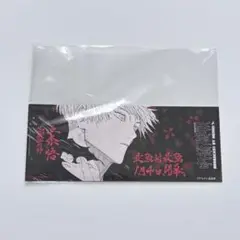 コミックス 呪術廻戦 第25巻 対象店舗購入特典 五条悟 観戦チケット風しおり