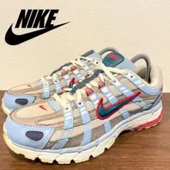 NIKE W P-6000 SAIL ナイキ レディース ランニングシューズ