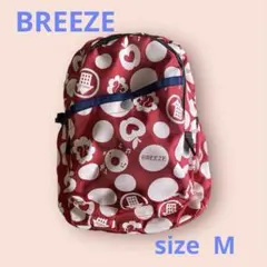 Item thumbnail for item b3adbedb-abf6-4f5a-aae6-417f815376e1