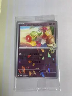Nのゾロア　リーリエのキュワワー　プロモ リーリエのキュワワー：コレクションファイルセット PROMO SV-P