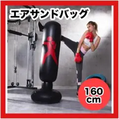 エアサンドバッグ　160cm ボクシング　ストレス発散　ダイエット パンチ