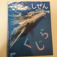 しぜん くじら プレベル