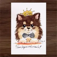 イラスト 原画 ポストカード 絵 【ポメラニアン】43