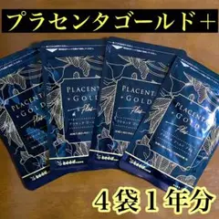 【美品!!】セリーヌ ミディアムストラップウォレット ピンク 秋 ハロウィン■