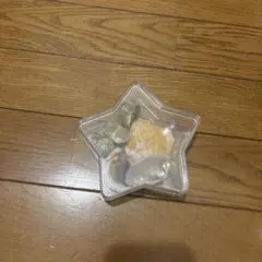 お洒落な貝殻