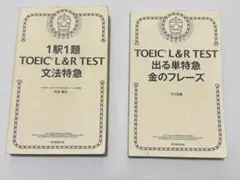 Item thumbnail for item be3667bb-31f2-4e63-95fc-ff2c55415989