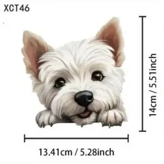 Item thumbnail for item 87584998-8587-42a4-ae94-04475a6a0dd6